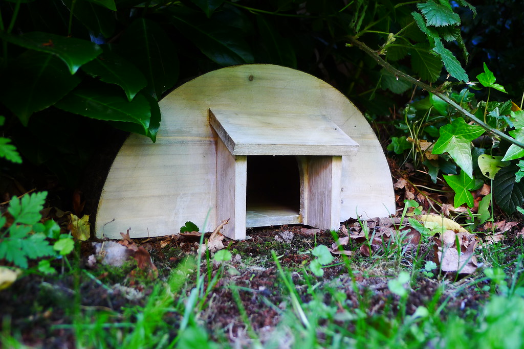 How to Make a Hedgehog House Out of Cardboard