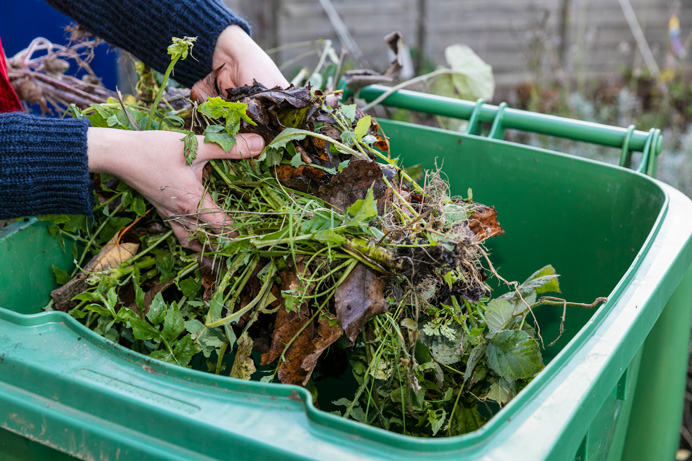 How to Make Compost Tea From Kitchen Waste