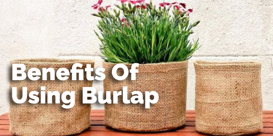 Benefits Of Using Burlap