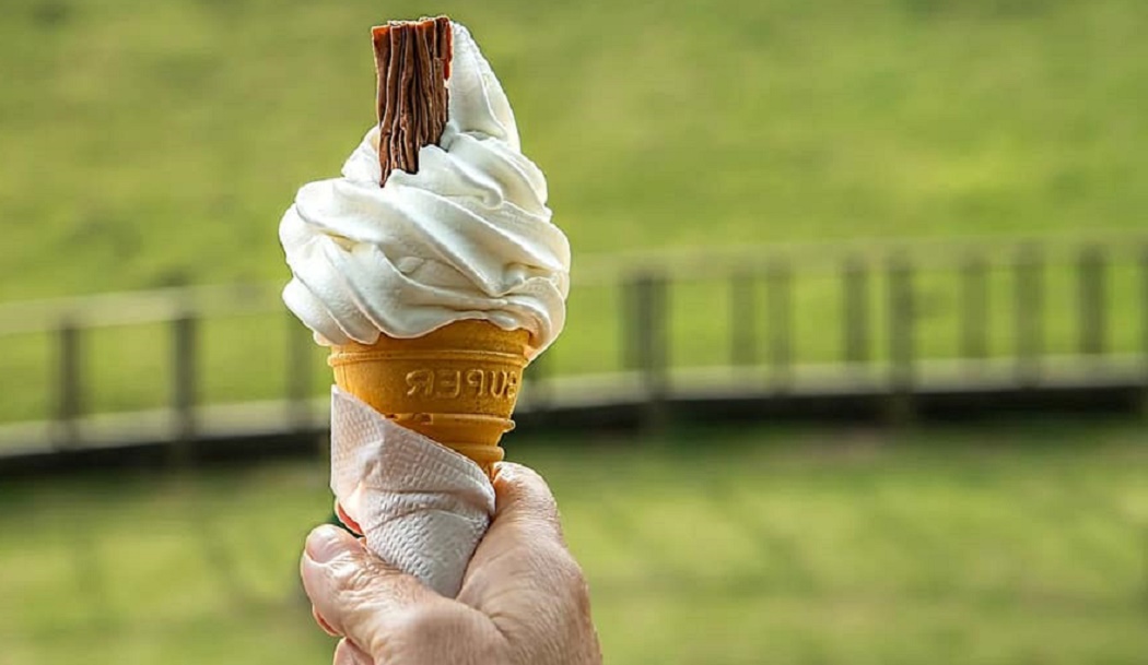 How Do You Pack Ice Cream for Lunch-1