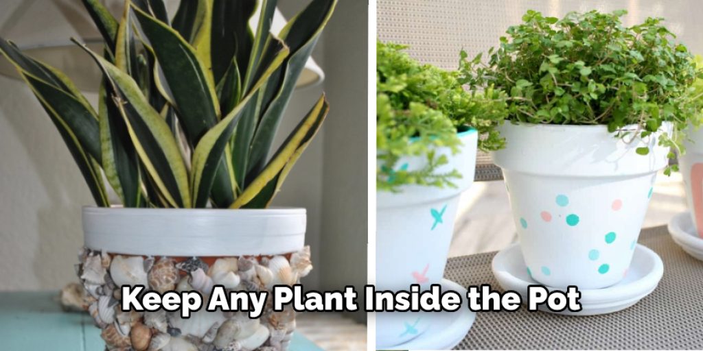 Keep Any Plant Inside the Pot