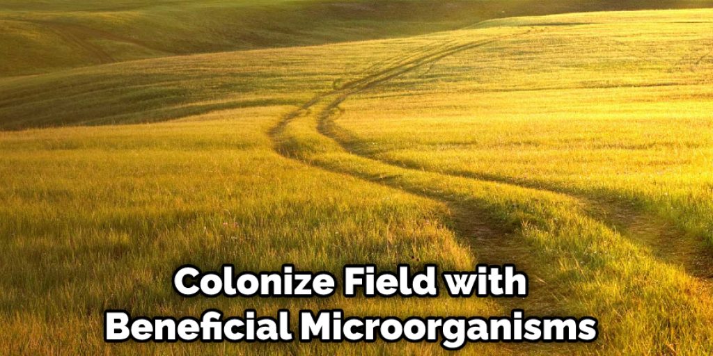 Colonize Field with Beneficial Microorganisms