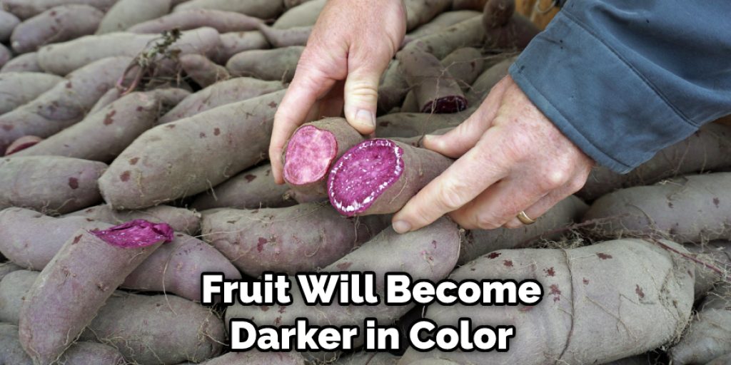 Fruit Will Become Darker in Color
