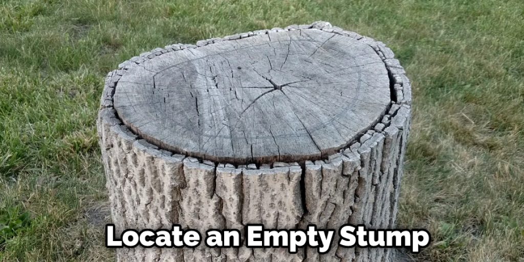 Locate an Empty Stump