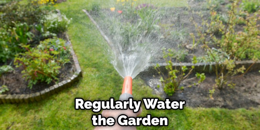 Regularly Water the Garden