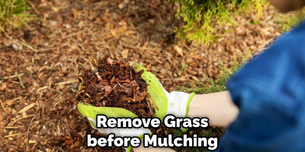 Remove Grass before Mulching