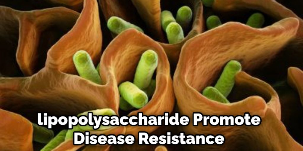 lipopolysaccharide Promote Disease Resistance