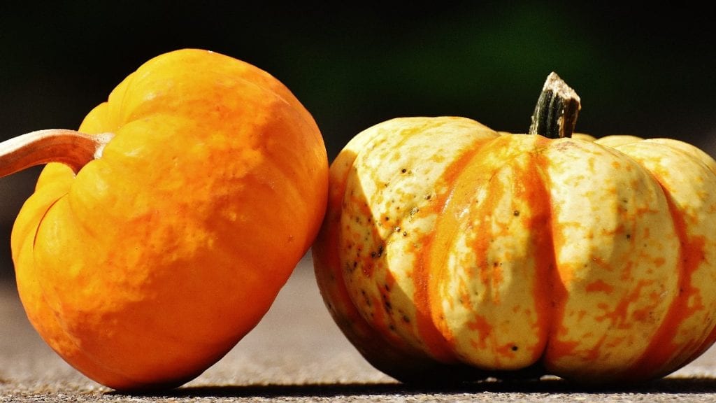 How to Shade a Pumpkin