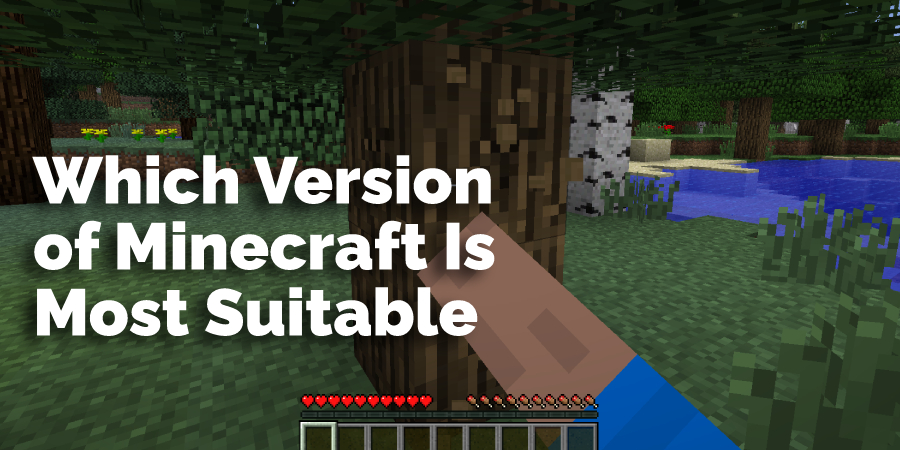 Which Version of Minecraft Is Most Suitable