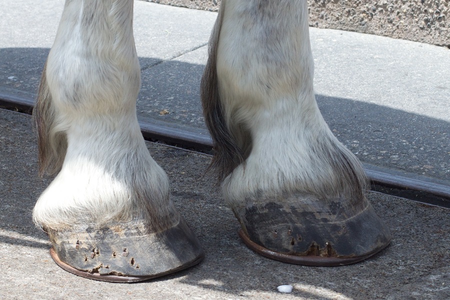 How to Make Hooves for a Costume-2