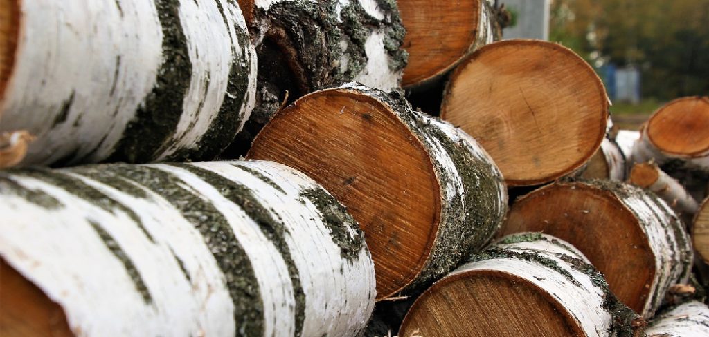 How to Preserve Birch Logs