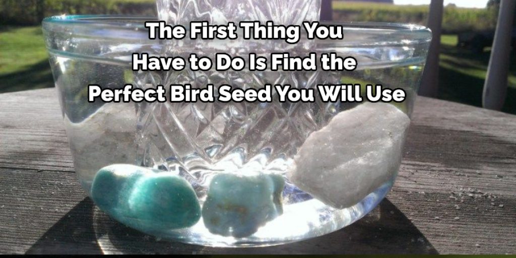 The First Thing You  Have to Do Is Find the  Perfect Bird Seed You Will Use