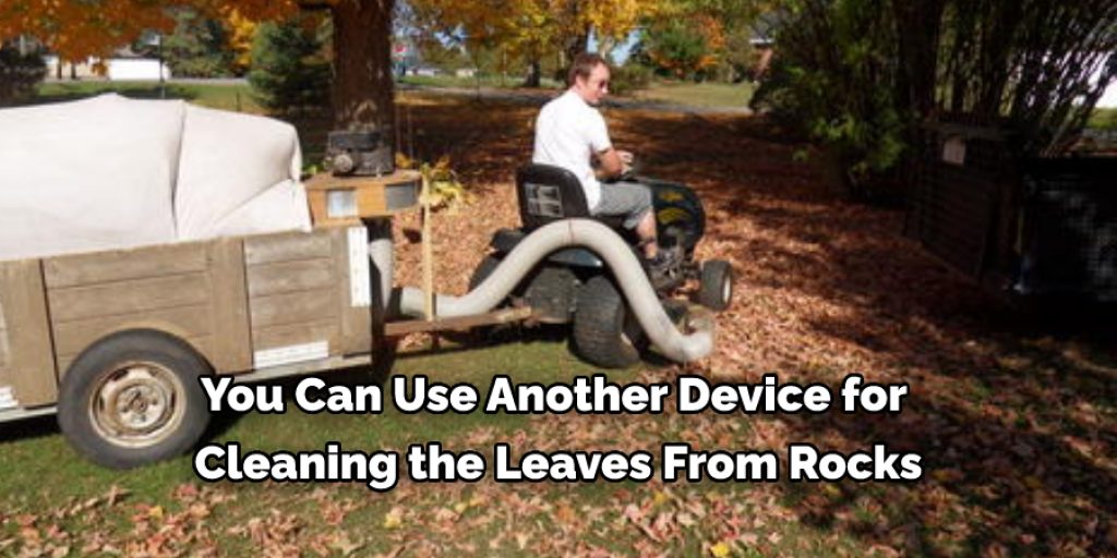 You Can Use Another Device for  Cleaning the Leaves From Rocks