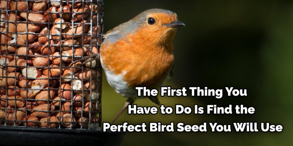 The First Thing You  Have to Do Is Find the  Perfect Bird Seed You Will Use