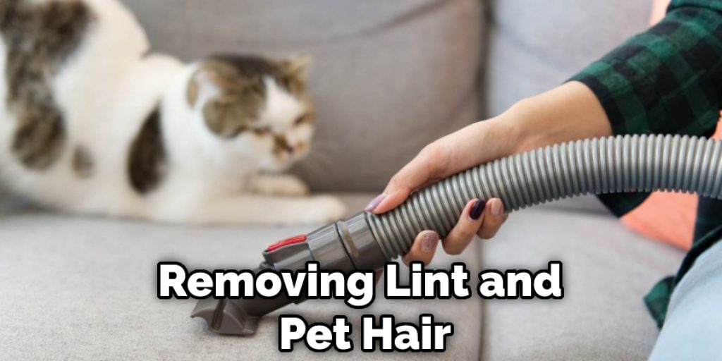 Removing Lint and Pet Hair