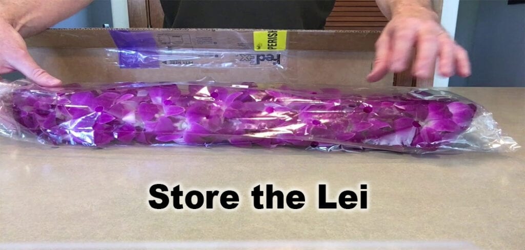 Store the Lei