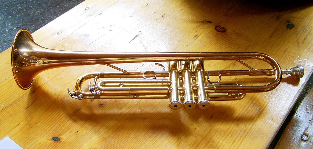 How to Make a Homemade Trumpet with Valves 1