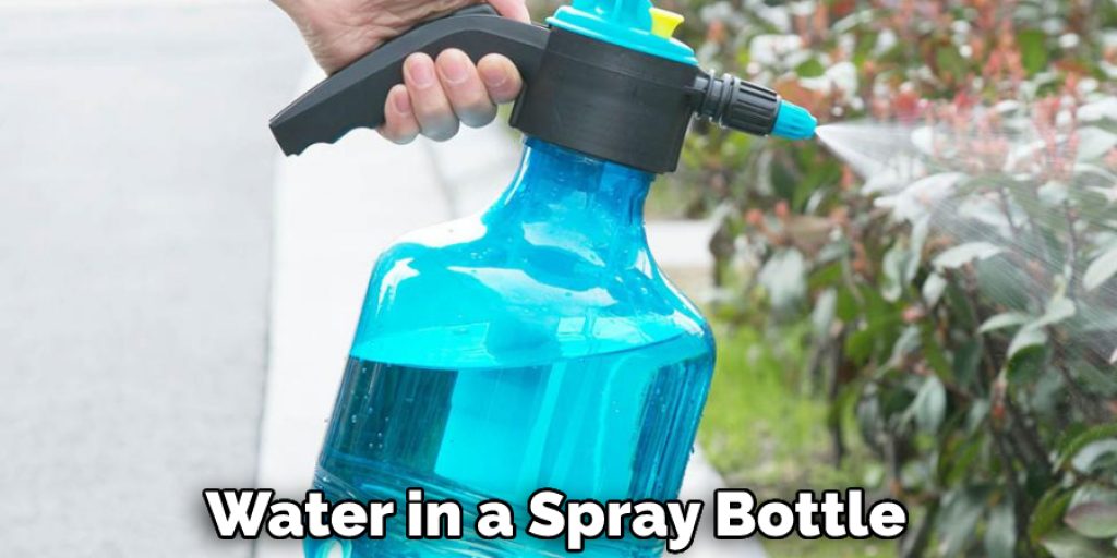 Water in a Spray Bottle