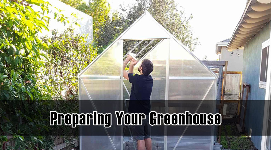 Preparing Your Greenhouse