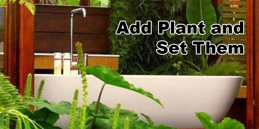 Add Plant and Set Them
