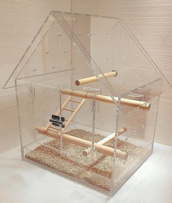 How to build an Acrylic bird cage