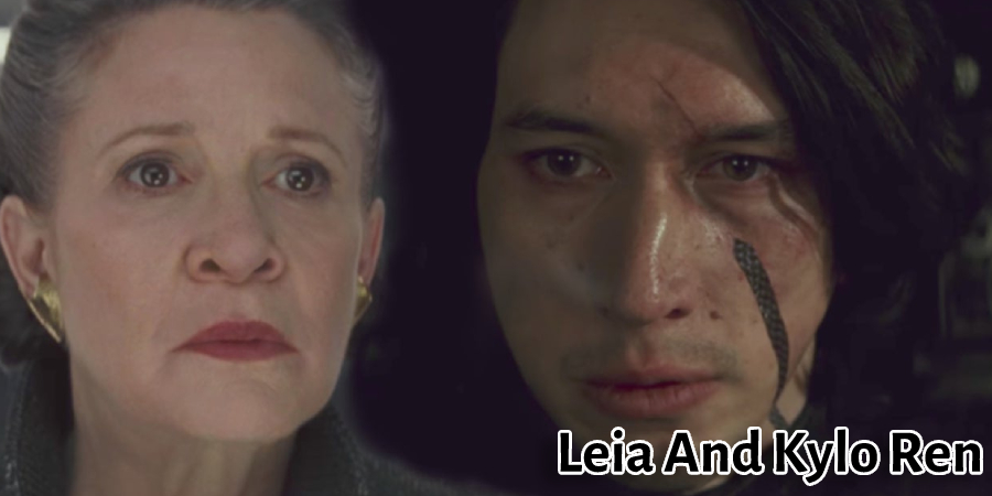 Leia And Kylo Ren