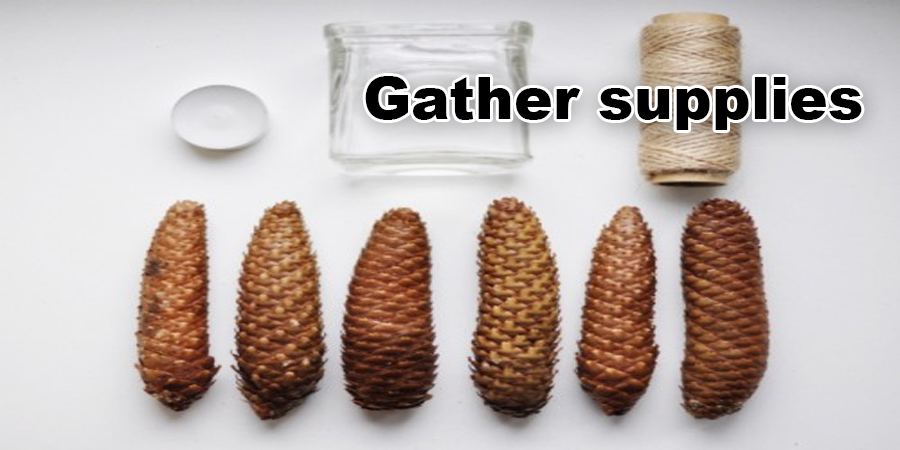 Gather supplies
