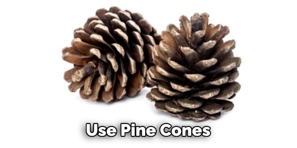 Use Pine Cones