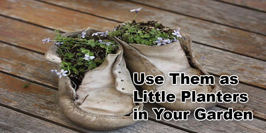 Use Them as Little Planters in Your Garden
