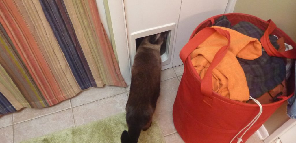 Cat Door