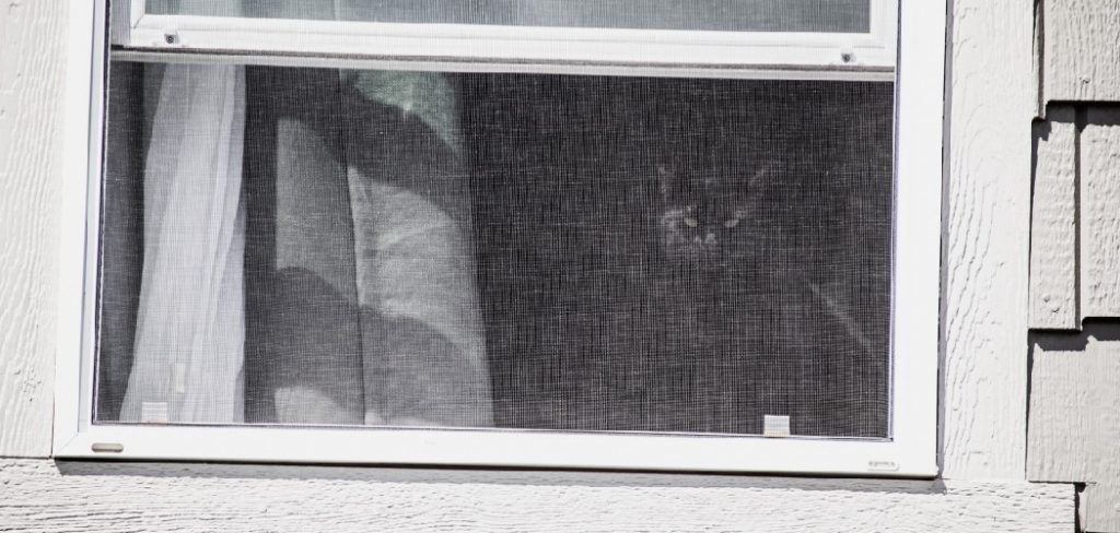 How to Stop Bugs From Getting Through Window Screens
