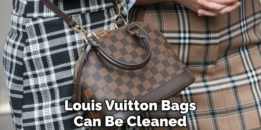 Louis Vuitton Bags Can Be Cleaned