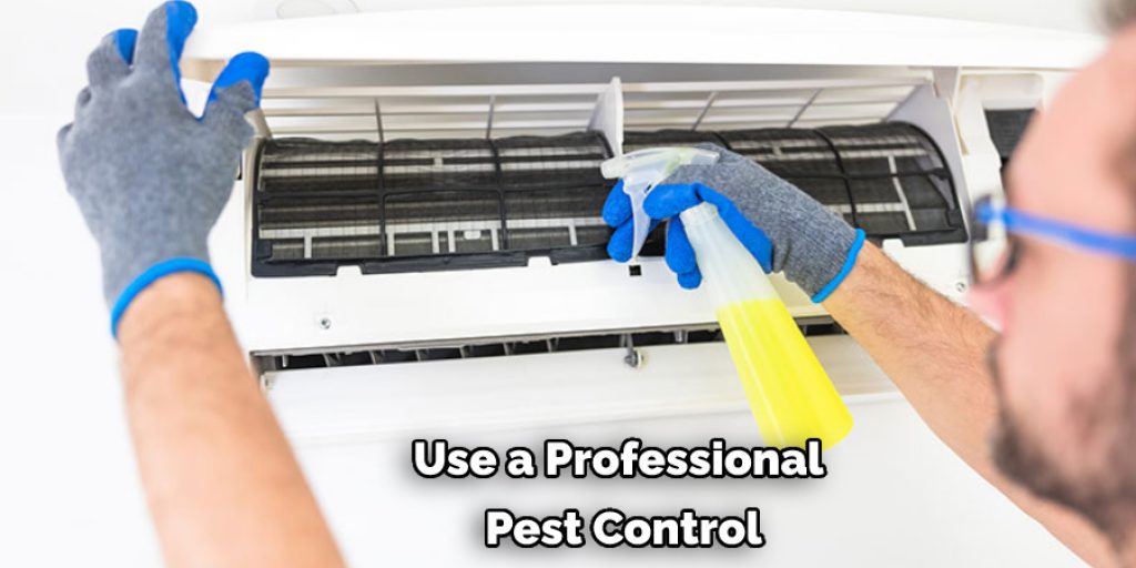 Use a Professional  Pest Control