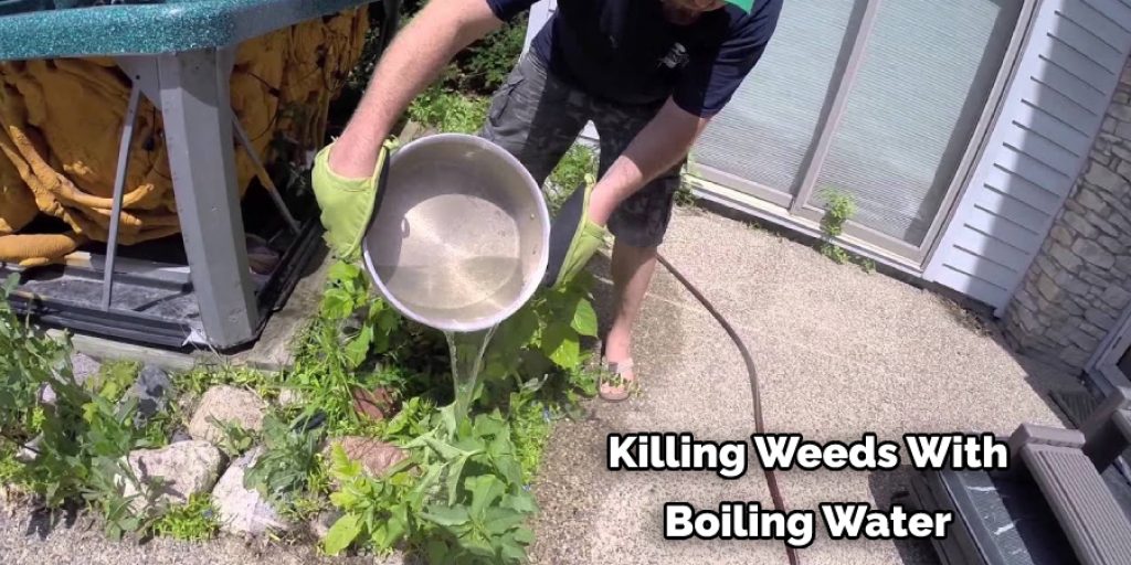 Killing Weeds With Boiling Water