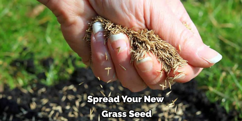 Spread Your New  Grass Seed 1