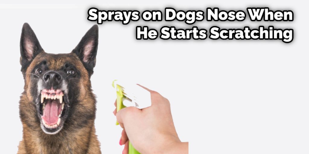 Sprays on Dogs Nose When He Starts Scratching