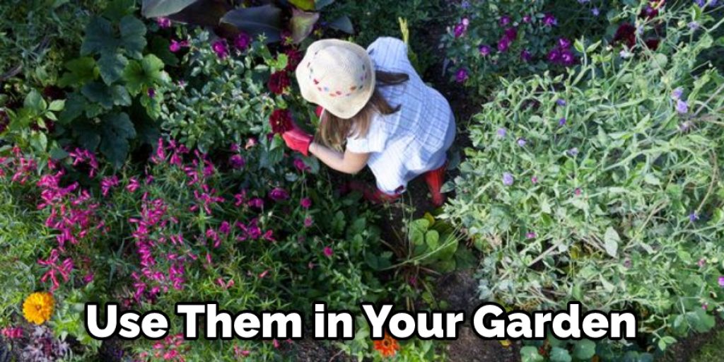Use Them in Your Garden