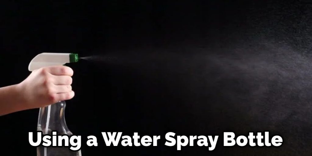 Using a Water Spray Bottle