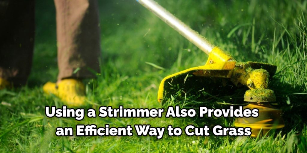 10 Ways on How to Cut Grass Without a Lawn Mower