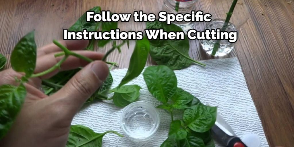 Follow the Specific Instructions When Cutting