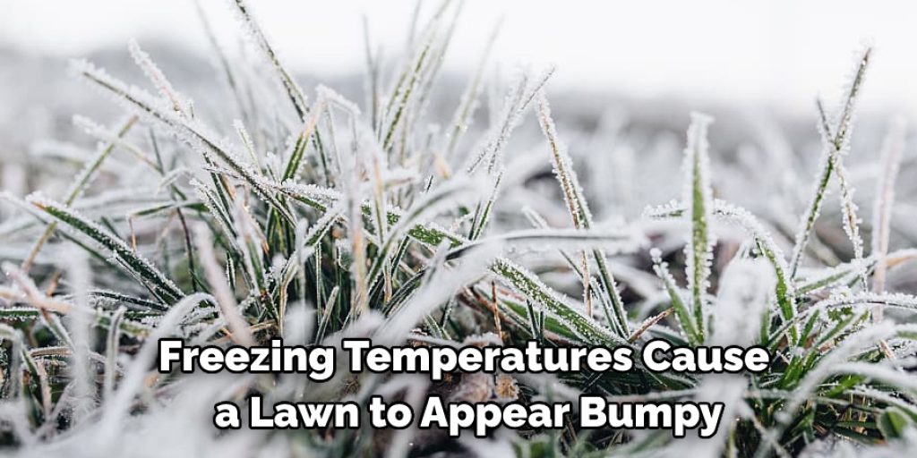 Freezing Temperatures Cause a Lawn to Appear Bumpy