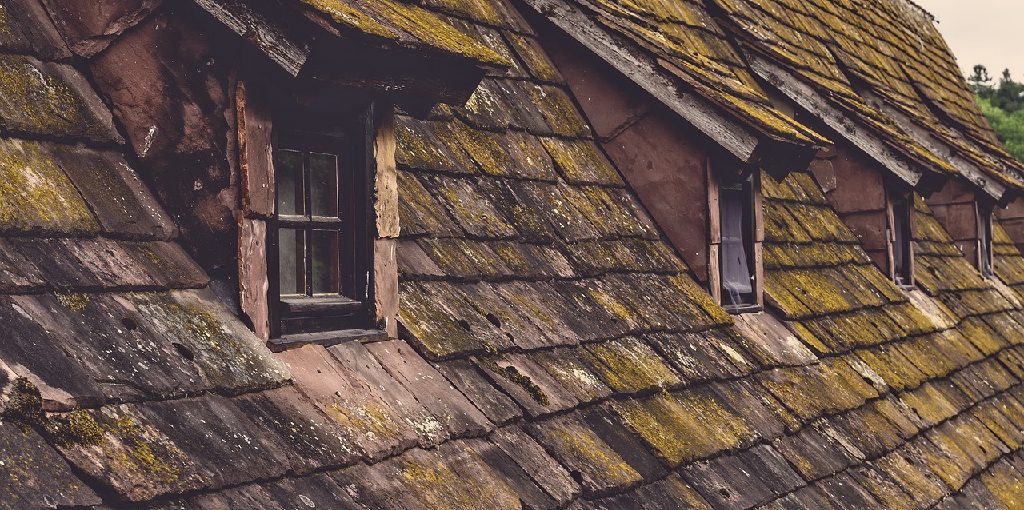 How Long Can a Roof Go Without Shingles