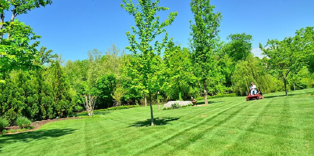How Often to Get Lawn Mowed