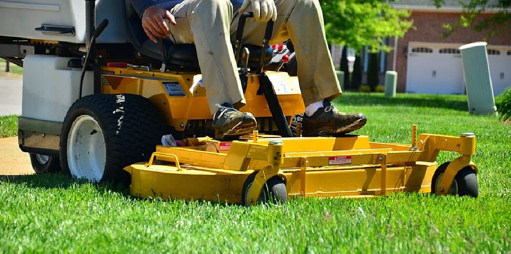 How to Cut Grass Without a Lawn Mower