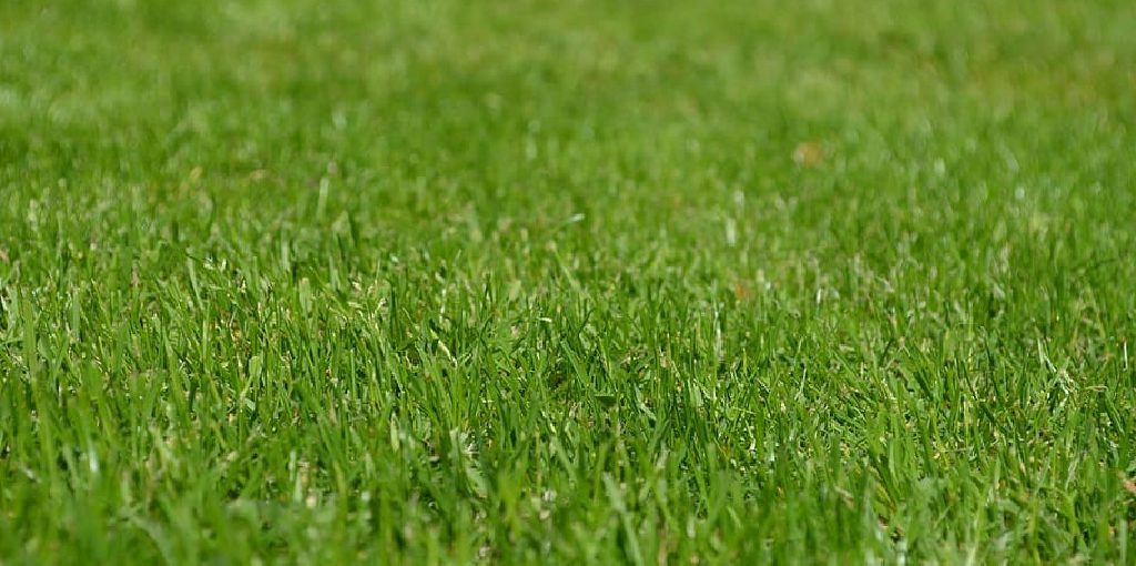 How to Make Small Lawn on Balcony