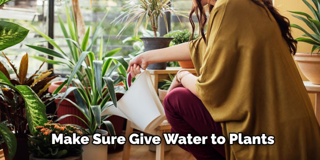 Make Sure Give Water to Plants