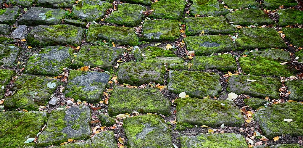 How to Get Rid of Moss Between Pavers