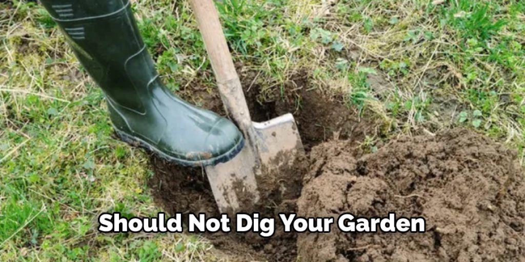 Should Not Dig Your Garden