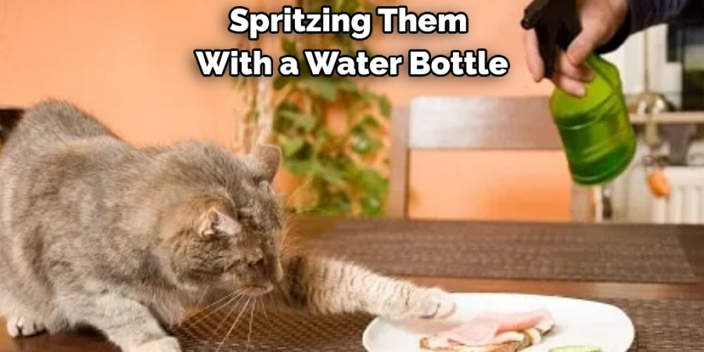 Spritzing Them With a Water Bottle