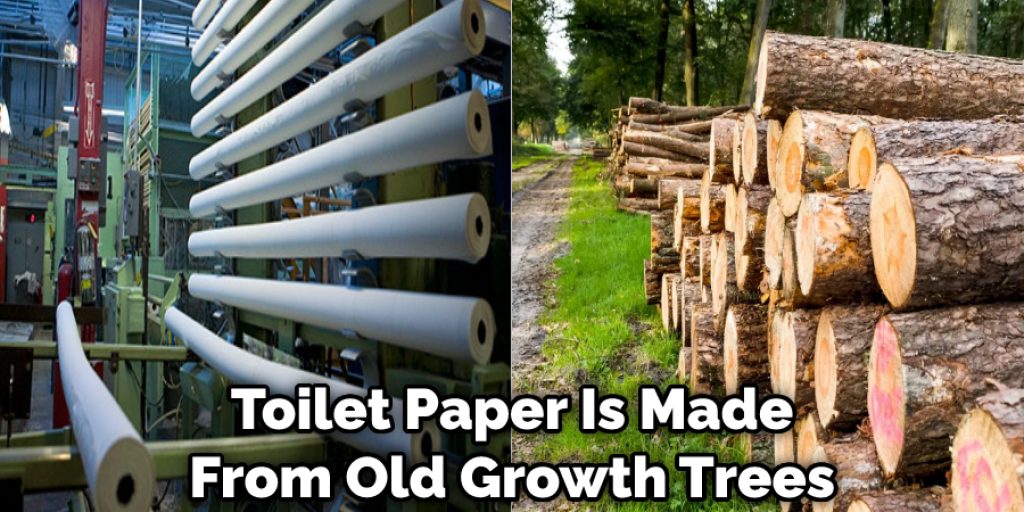 Toilet Paper Is Made From Old Growth Trees